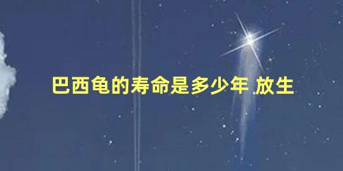 巴西龟的寿命是多少年 放生